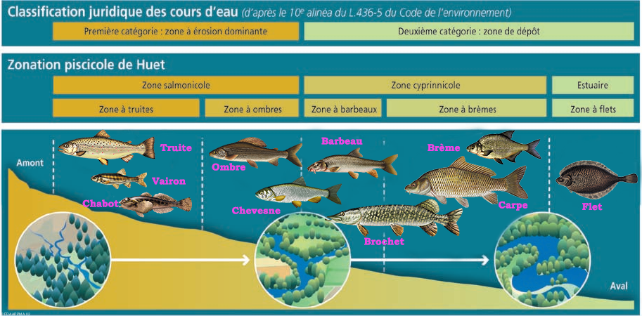 habitat naturel écologie poissons