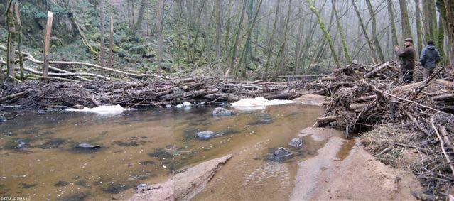 Site avant travaux