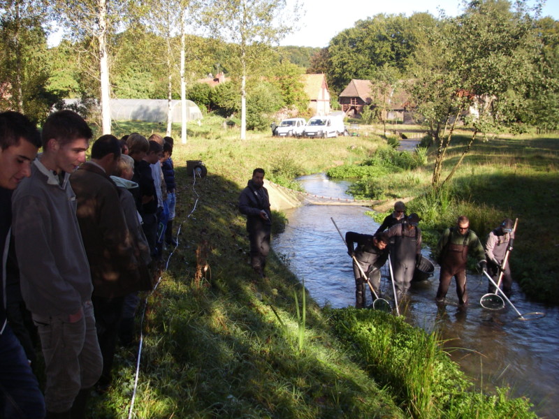 peche_saane_apres_travaux (4)