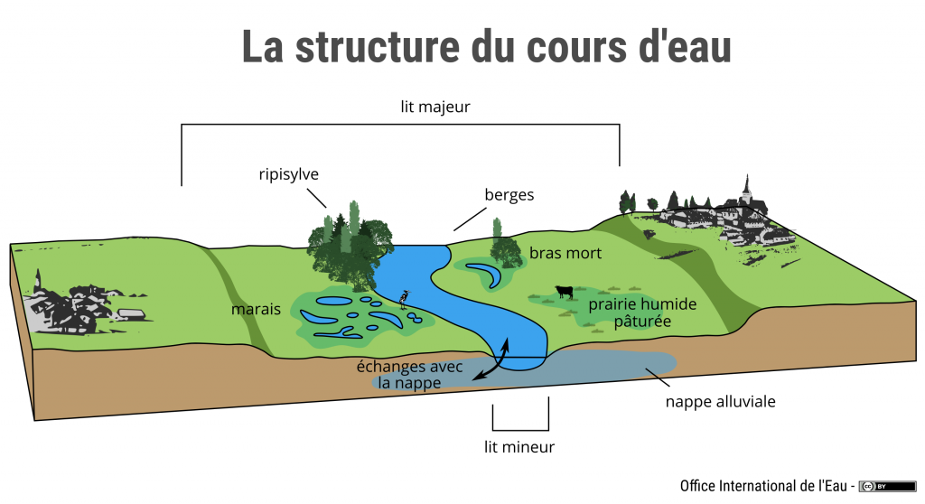 Bras de mer : définition et explications