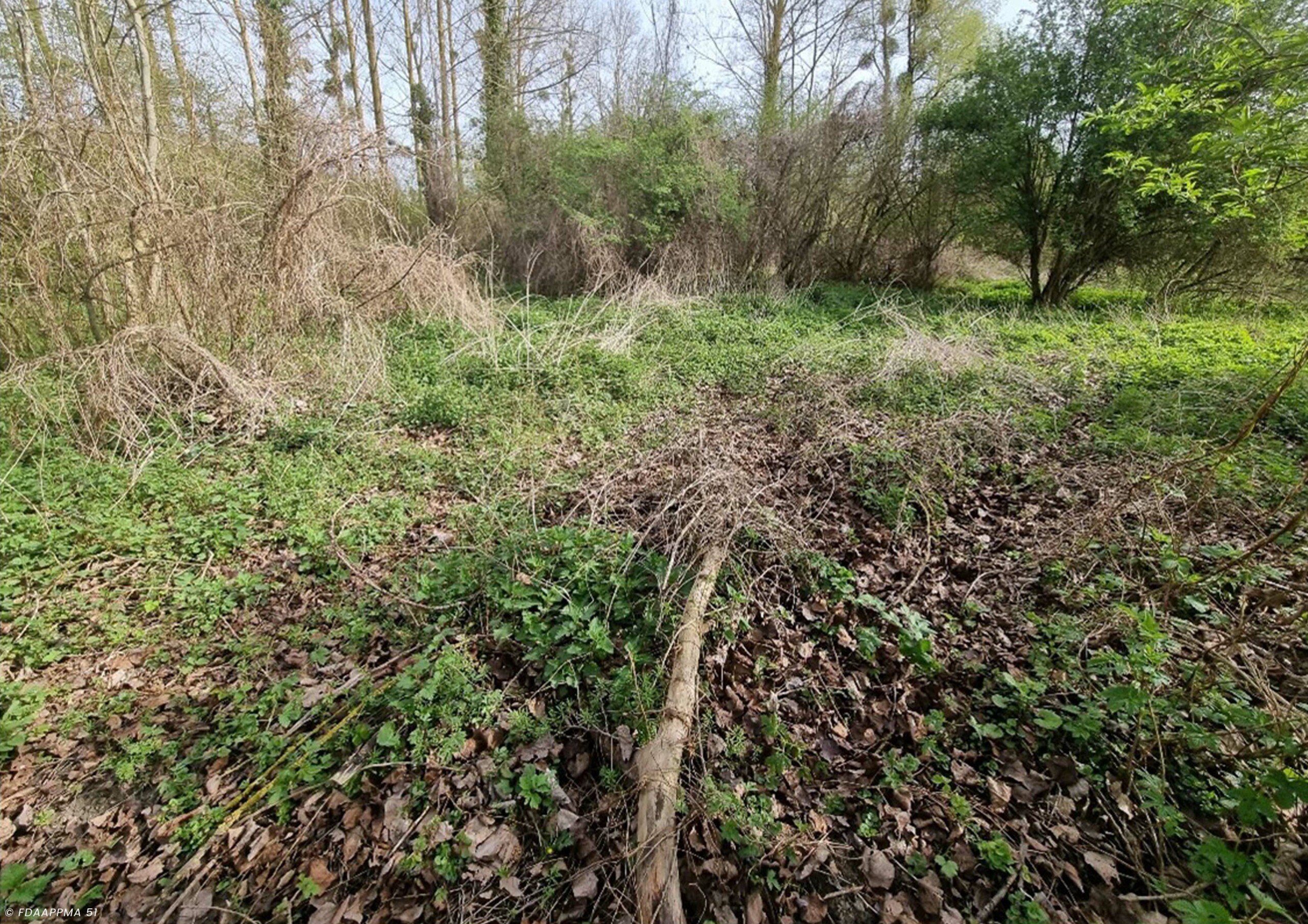 annexe hydraulique_avant travaux