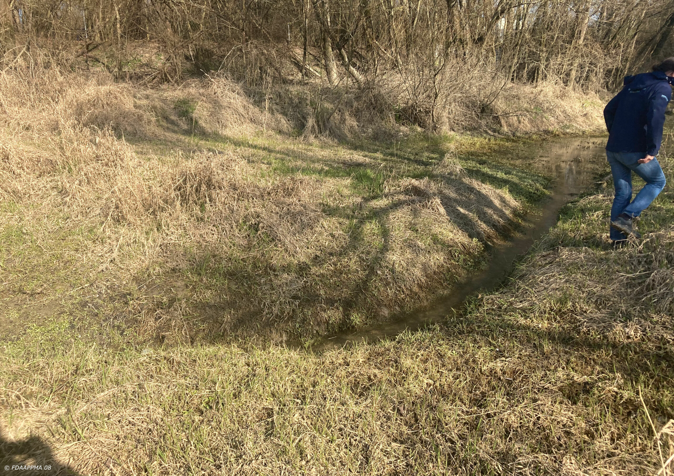 Avant travaux