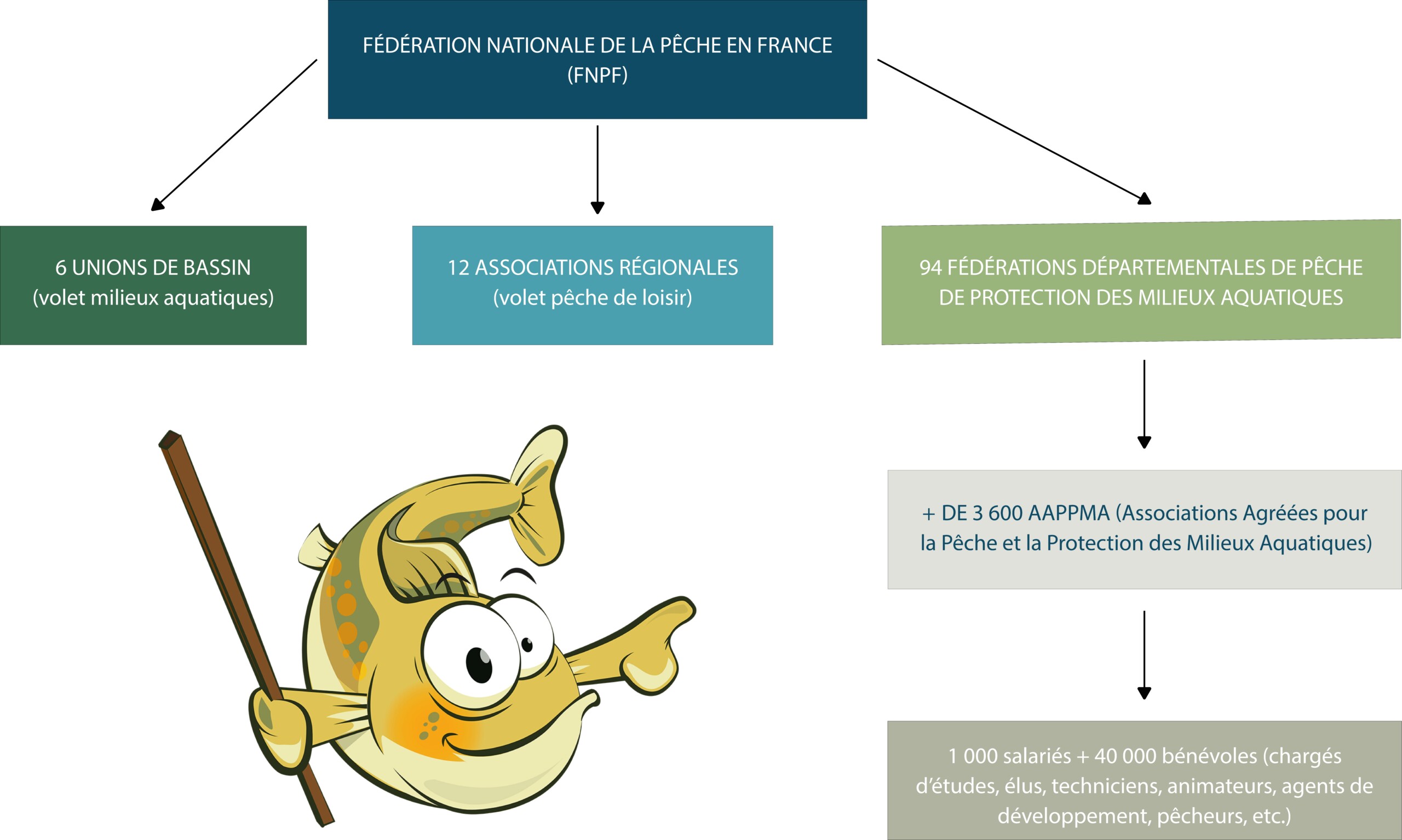 organisation réseau associatif pêche