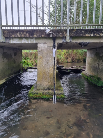 Image1