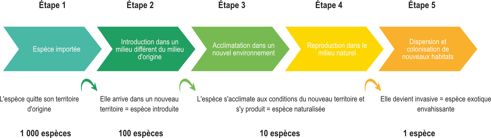 graphique introduction espèces exotiques envahissantes