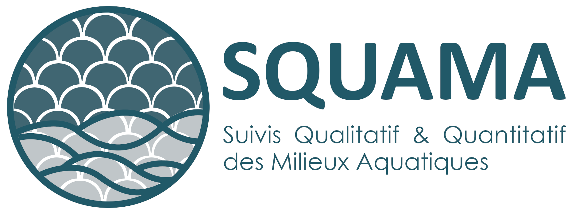 squama
