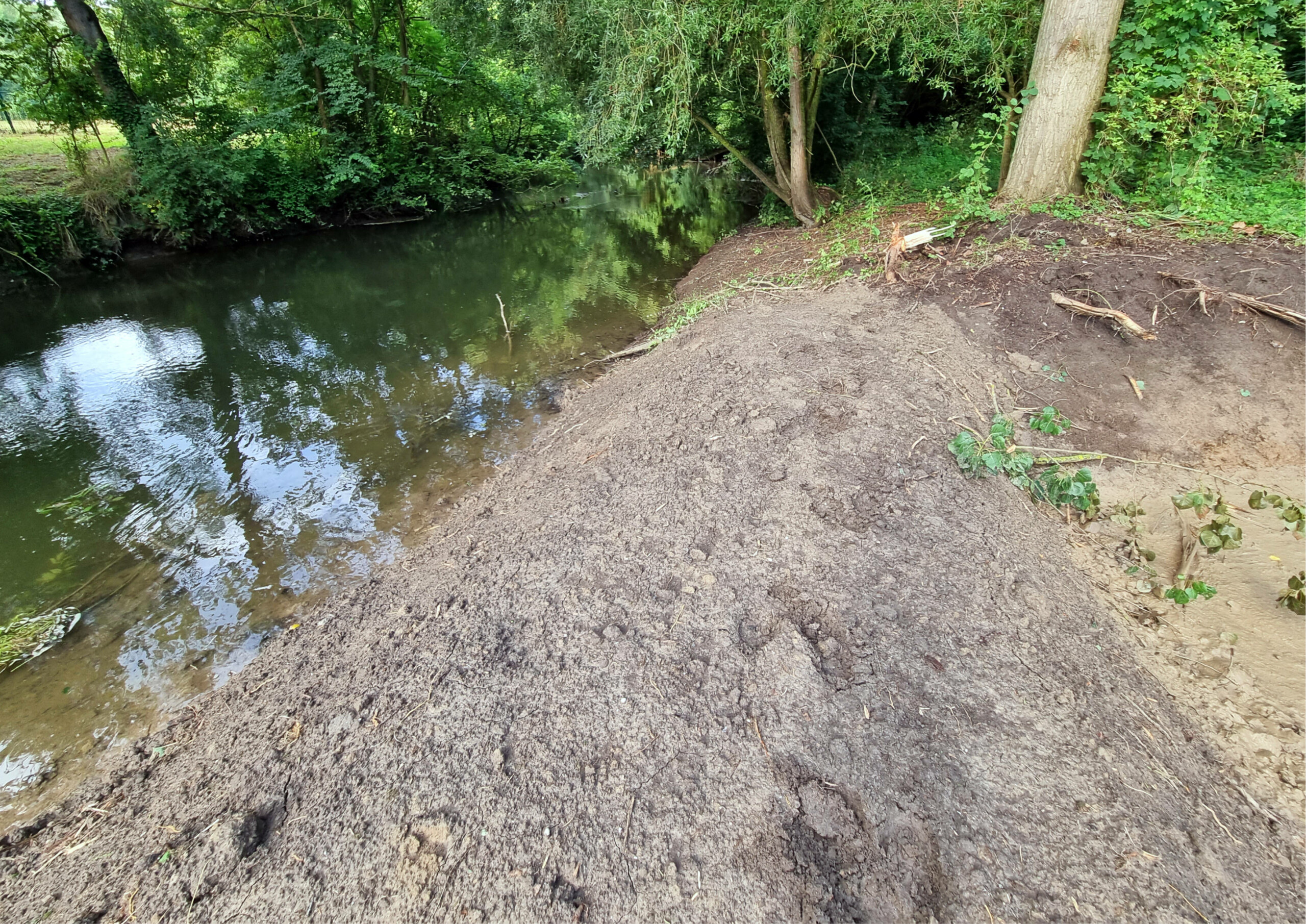 talutage berges en pente douce vesle_FD51