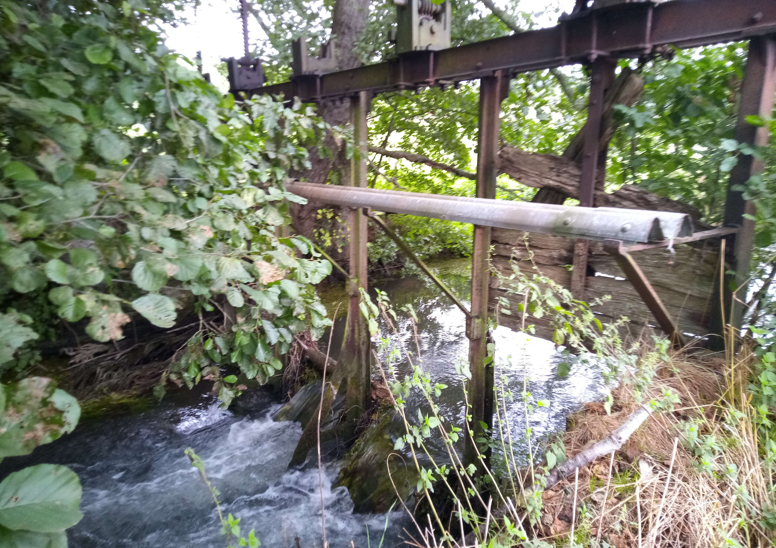 ROE103755_avant travaux