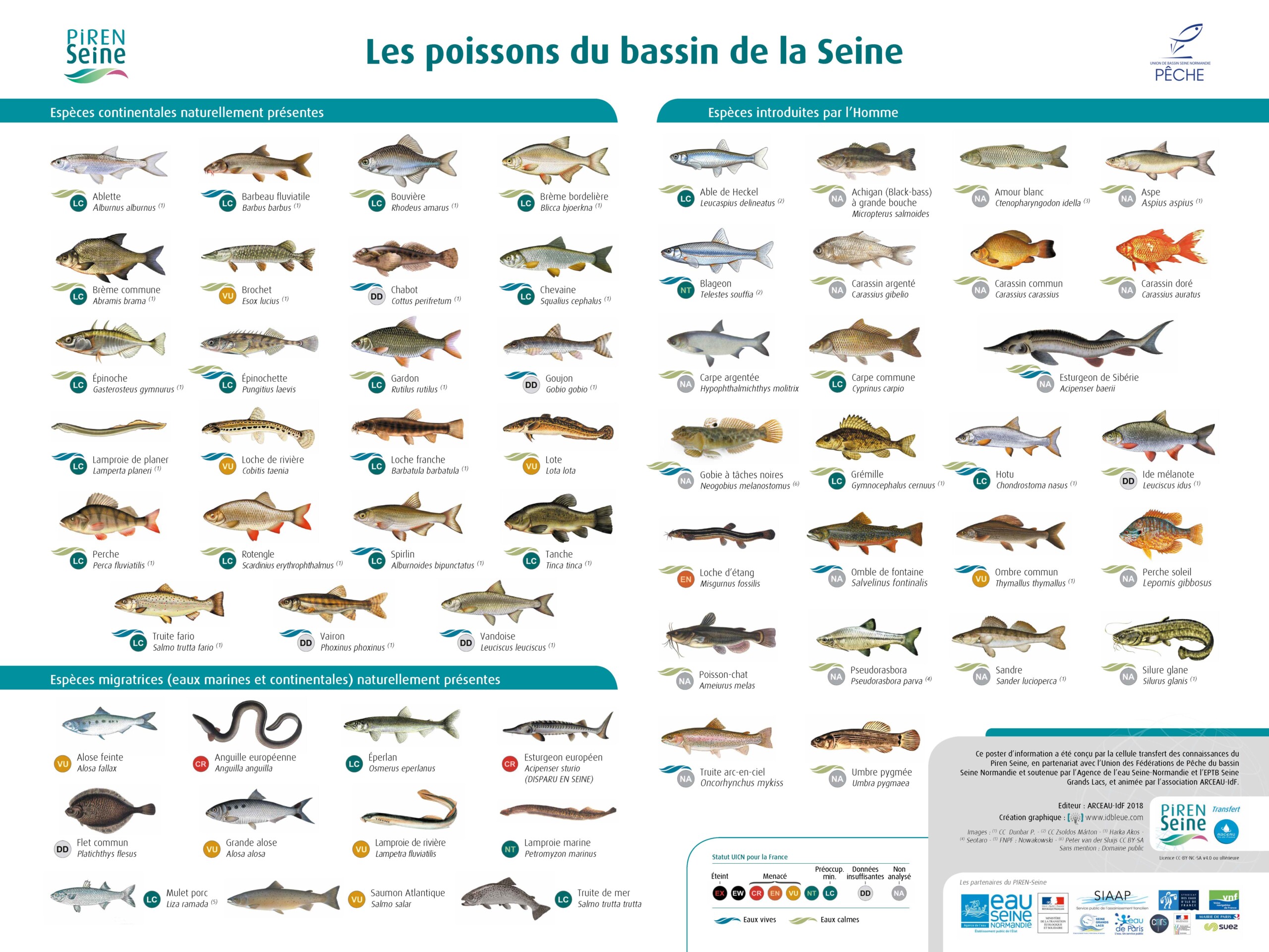 Affiche_Poissons_80x60_PIREN-UFBSN