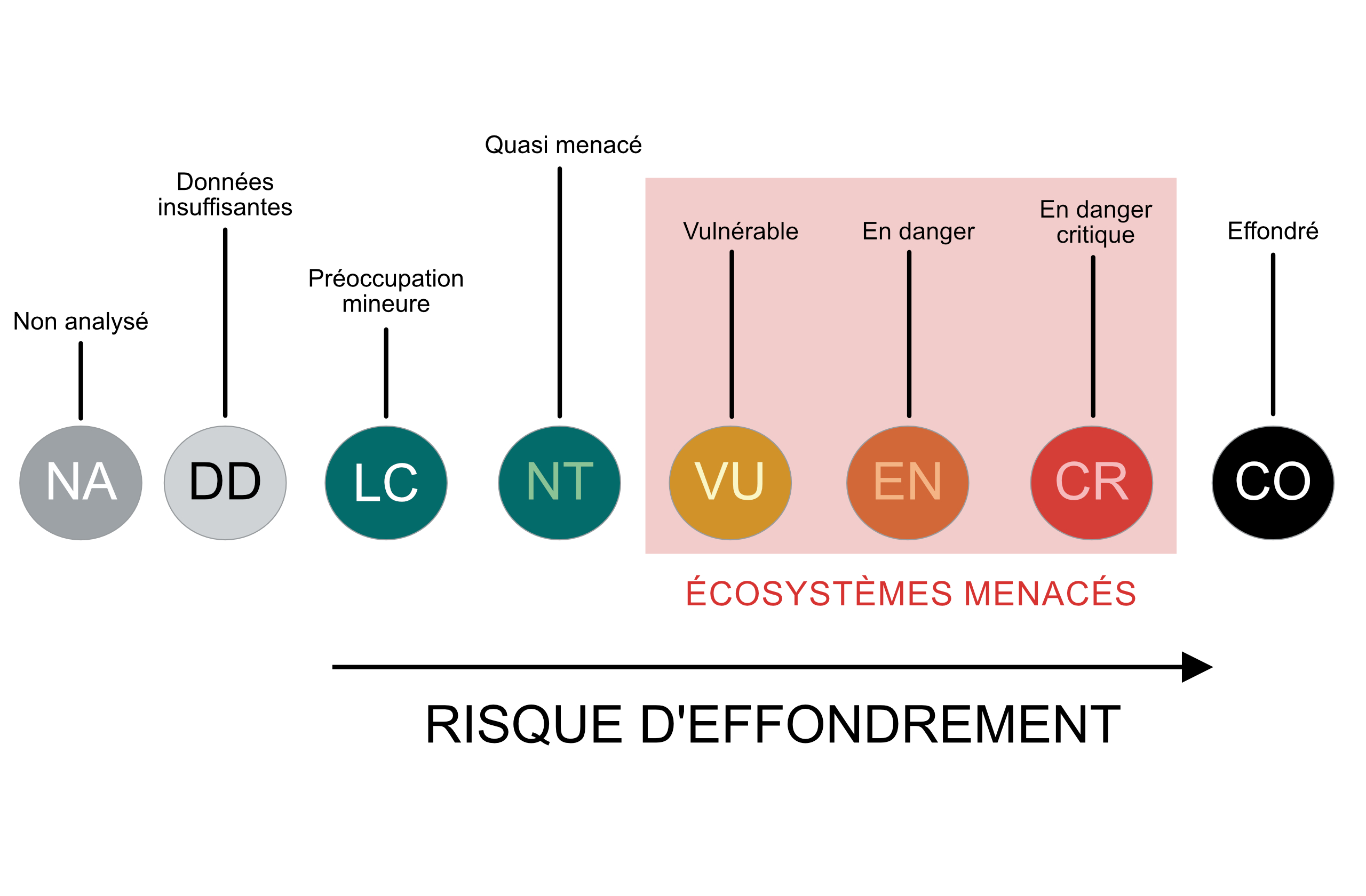 Statut de conservation_UICN