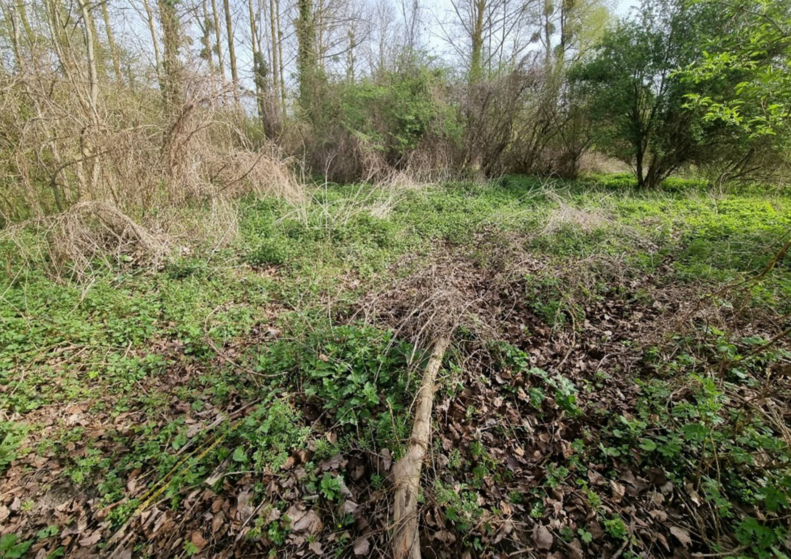 Avant travaux