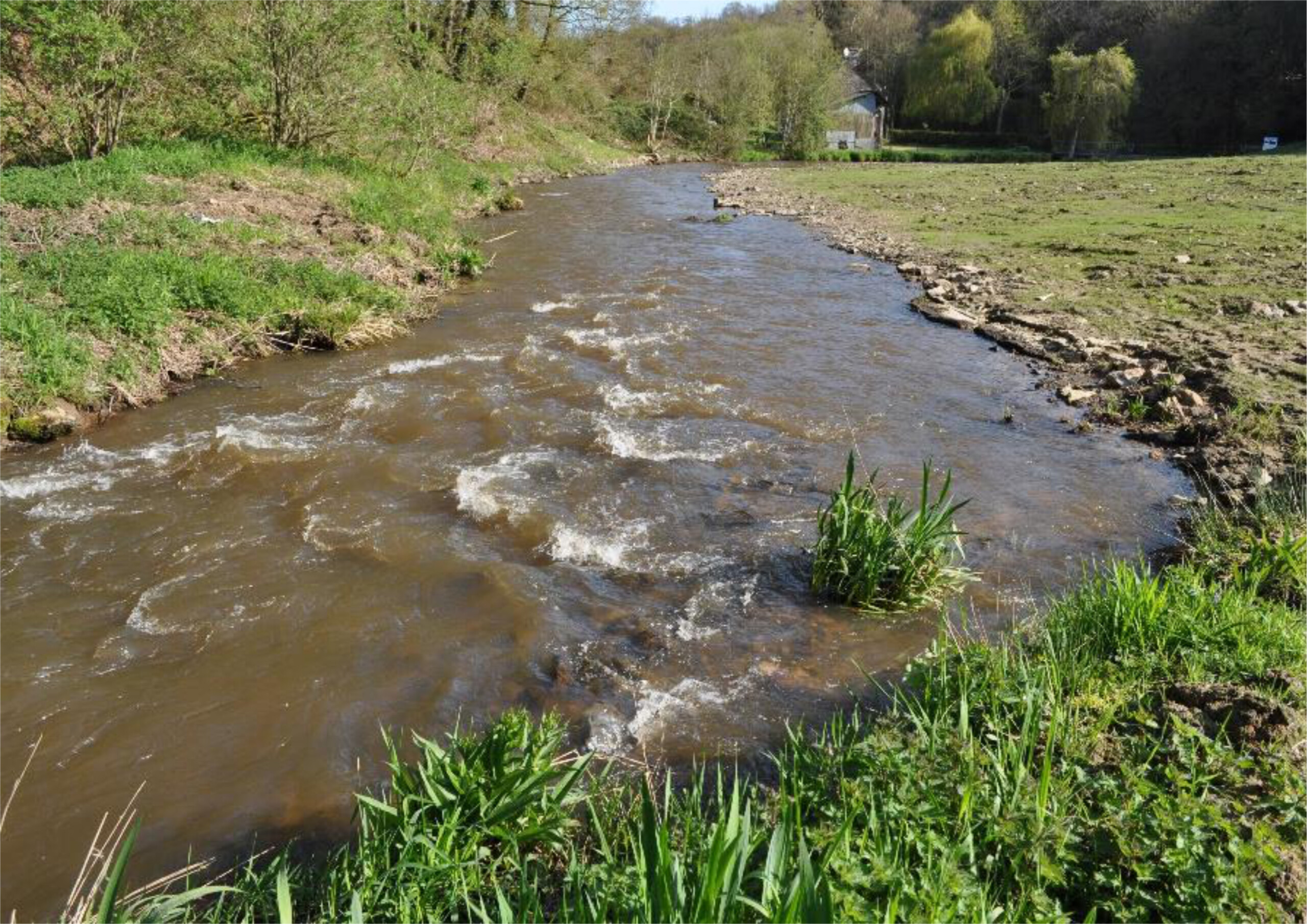 bassin de croissance_après travaux_FD50