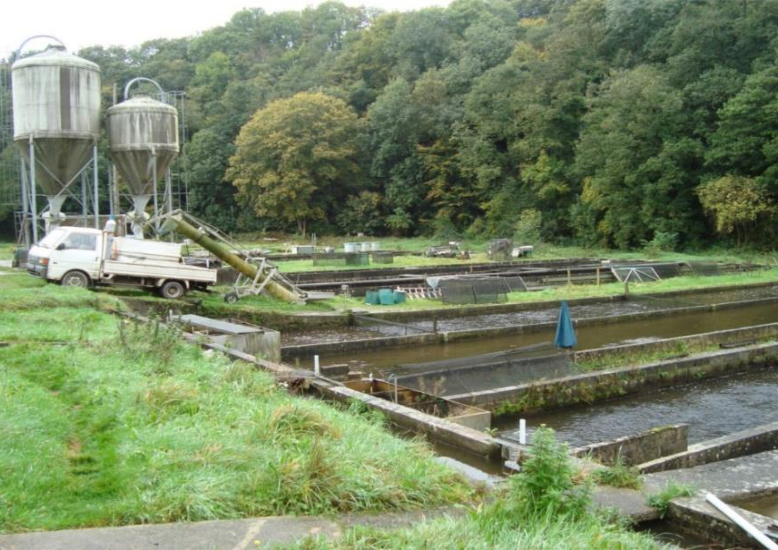 pisciculture_ruisseau de Goutelle avant travaux
