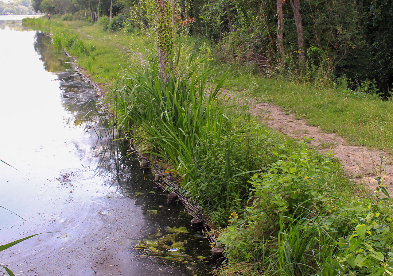 Berge restaurée 7 mois après travaux_FD80