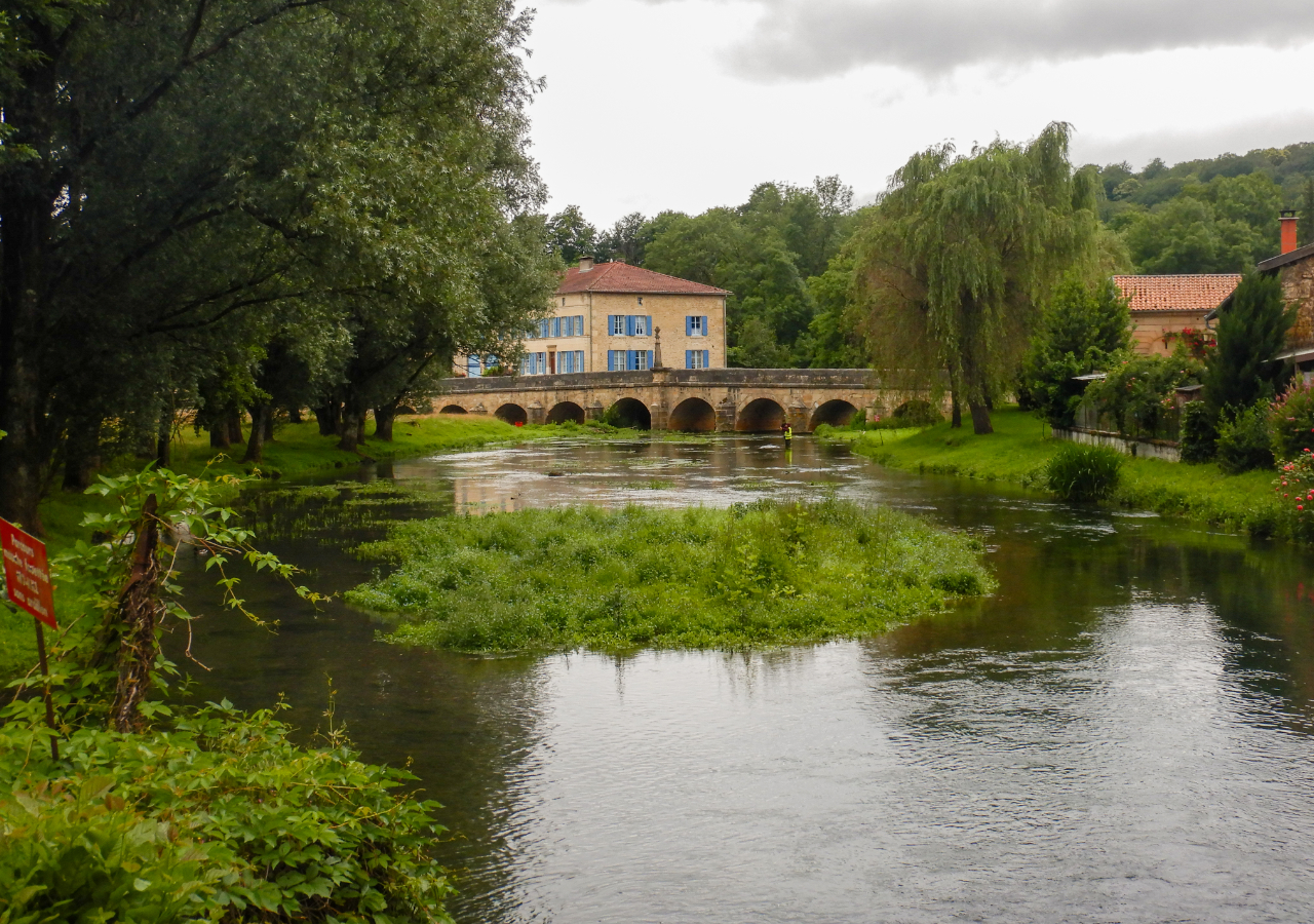 Bras Sud de la Saulx, avant travaux_FD55