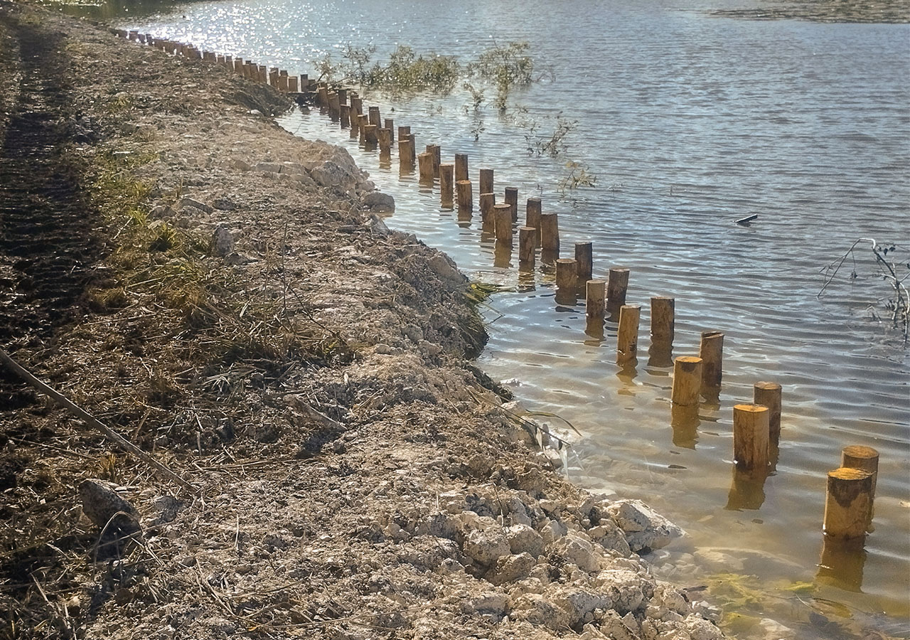 Deuxième rangée de pieux de châtaigniers_FD80