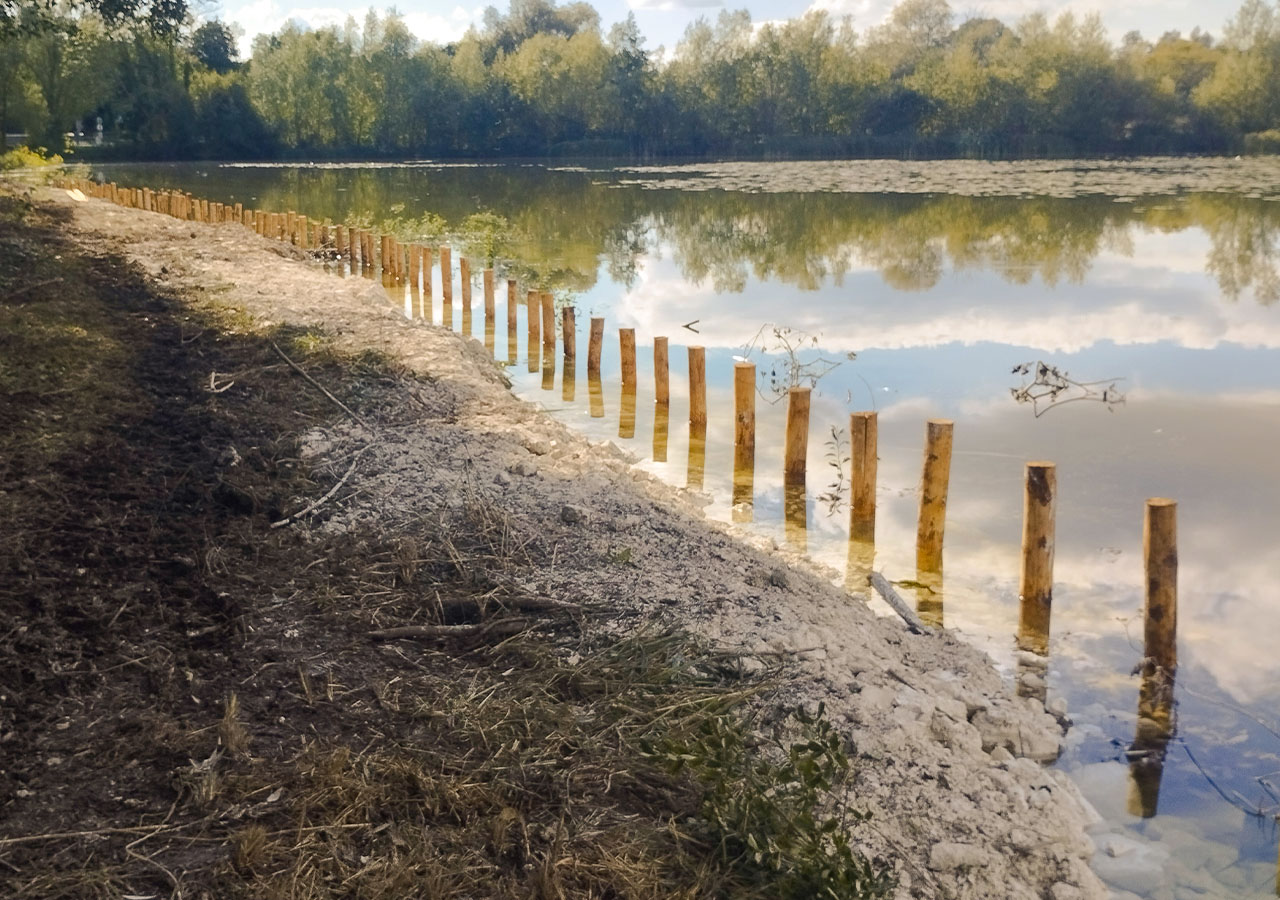 Première rangée de pieux de châtaigniers_FD80