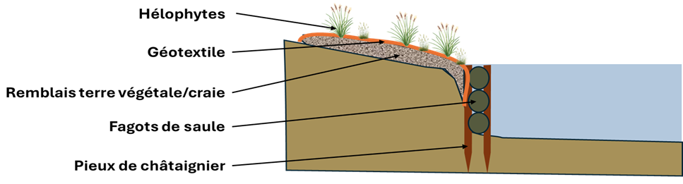 Schéma_Fascinage_FD80