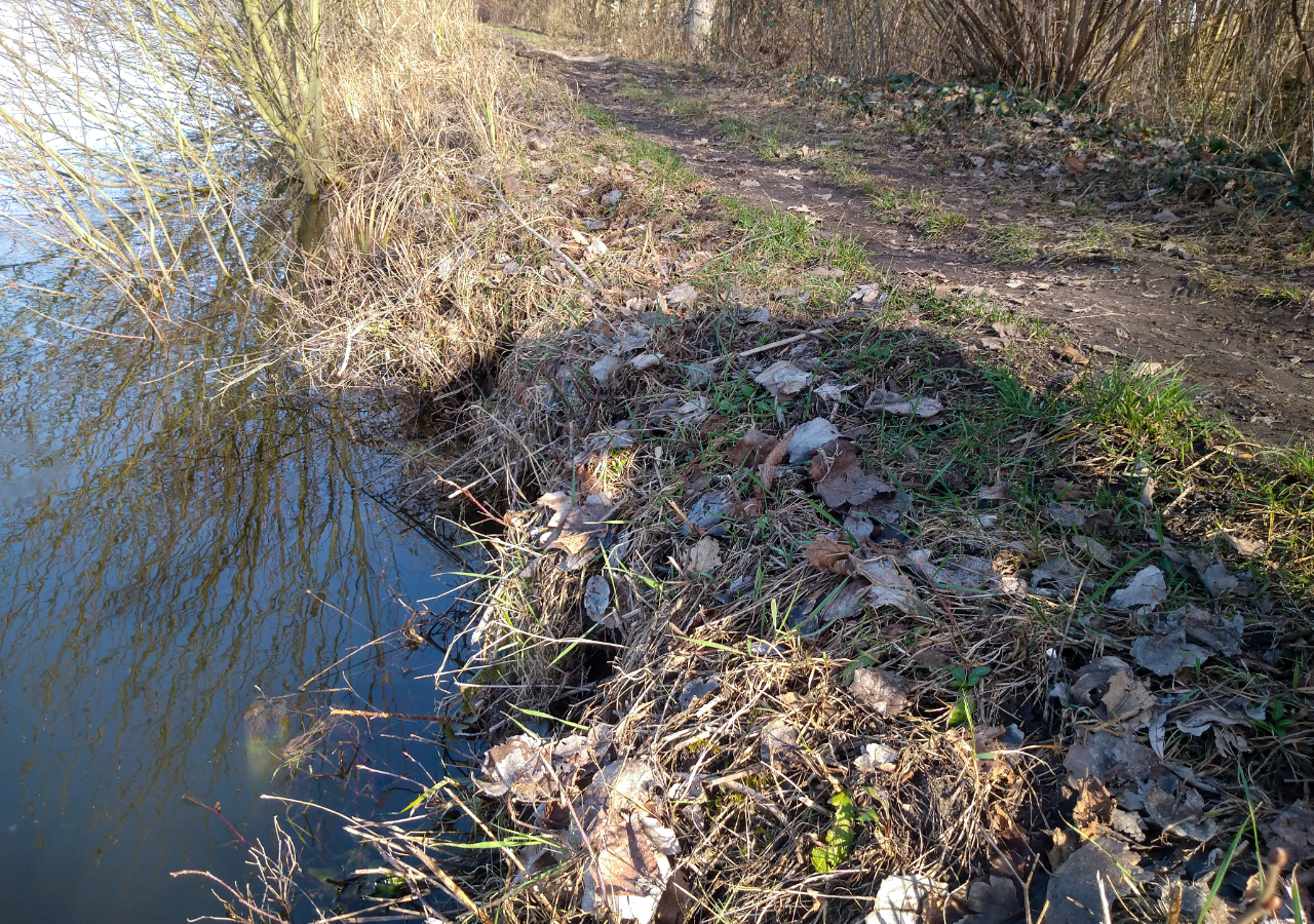 Zoom sur une berge dégradée du plan d’eau_FD80