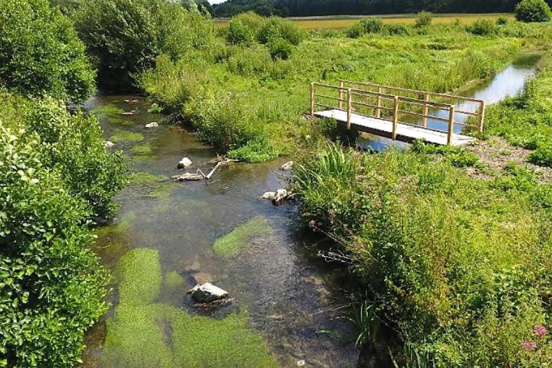 Blaise restaurée_Crécy-Couvé_FD28