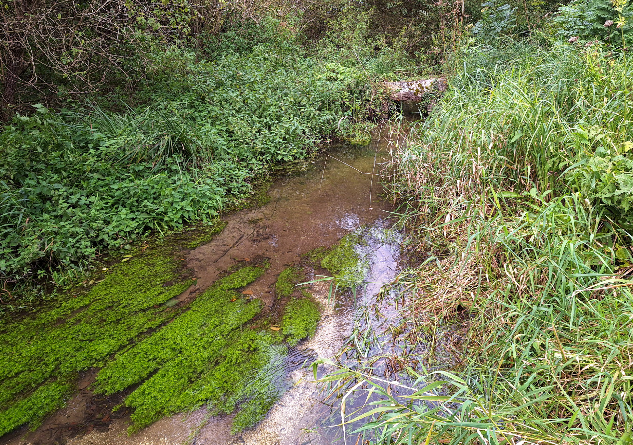 Zone 3 du site de Laberlière, le 30 septembre 2024