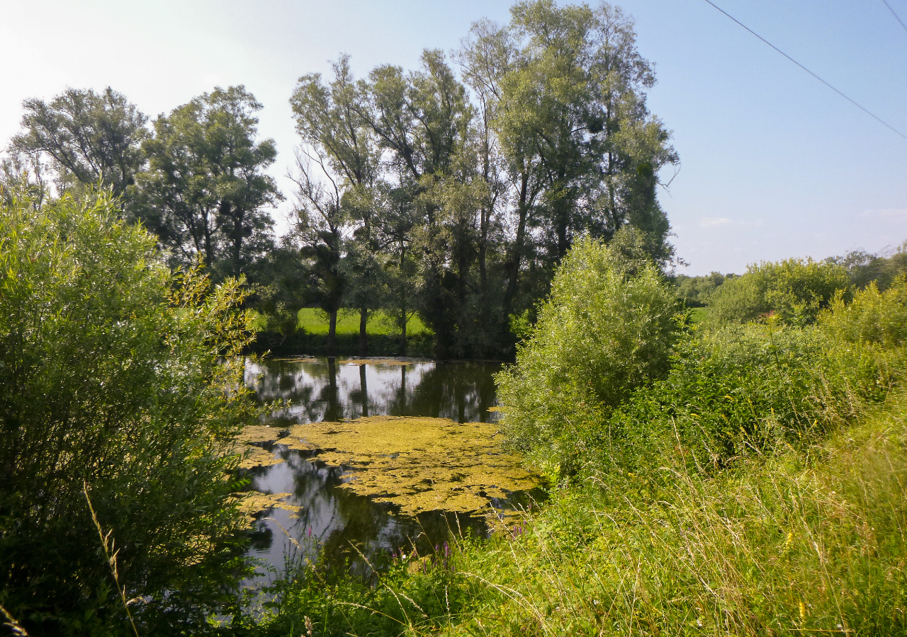 Ballastière de Charny-sur-Meuse_avant travaux_ 21-07-2021