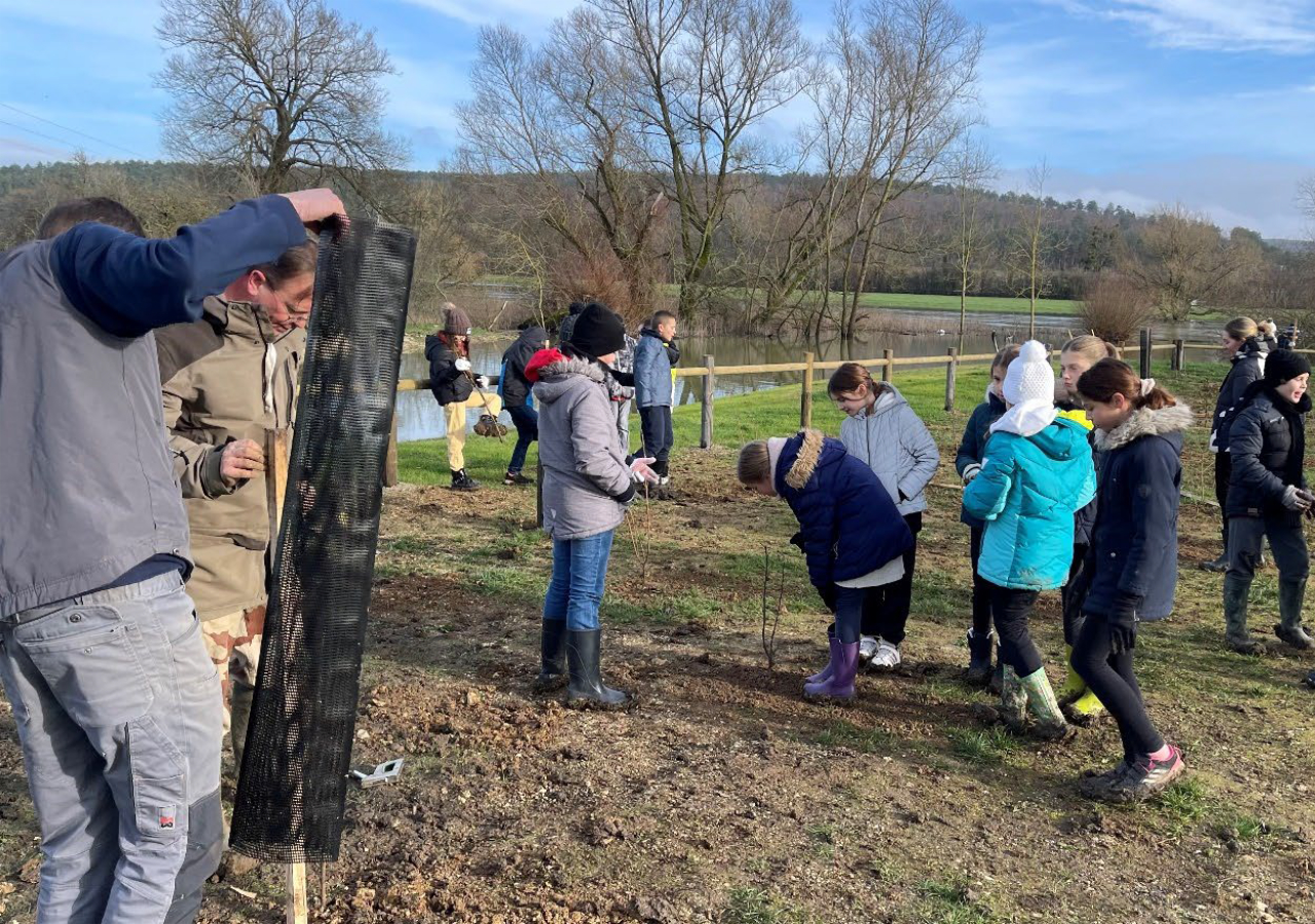 Chantier de plantations sur la zone humide de Charny-sur-Meuse_FD55