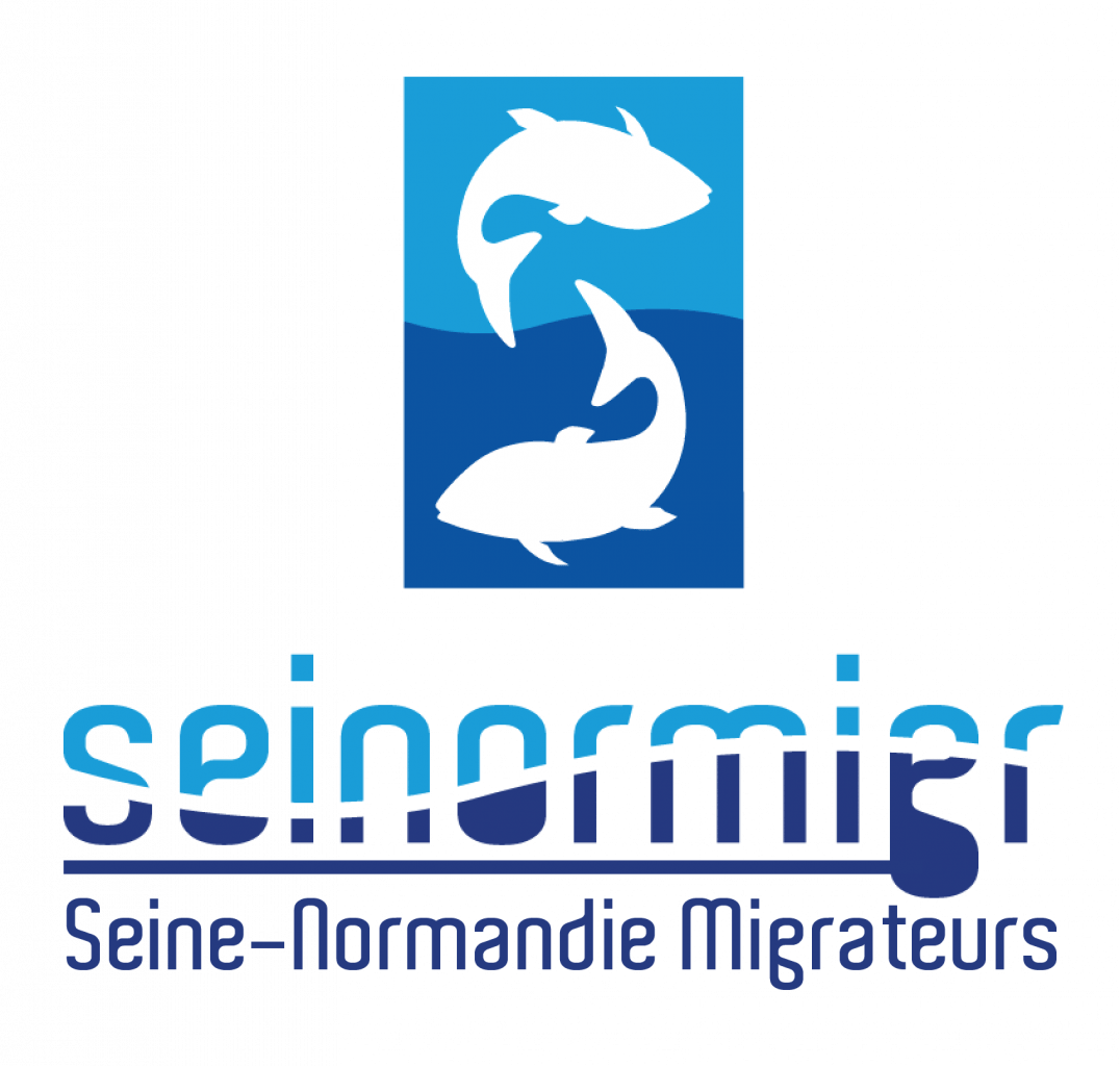 Nouveau_logo_Seinormigr_transparence