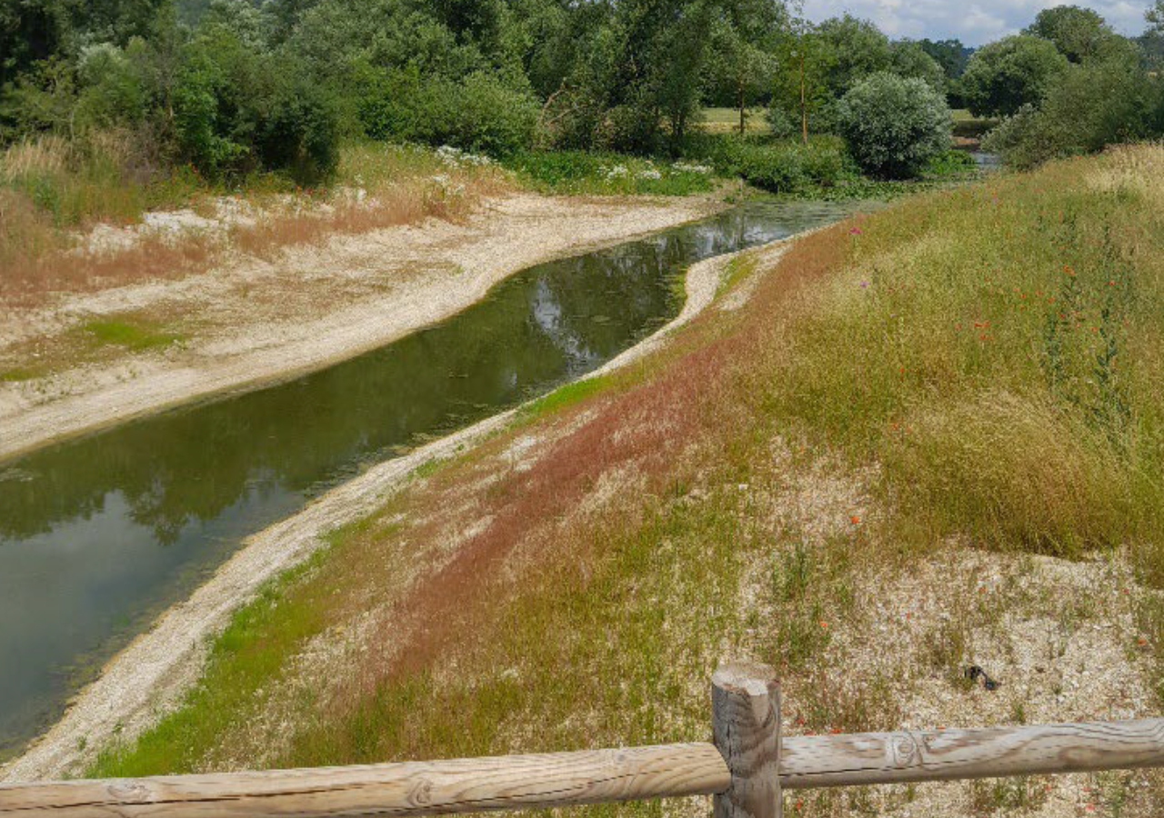 ensemencement de la banquette de la zone humide de Charny-sur-Meuse_FD55