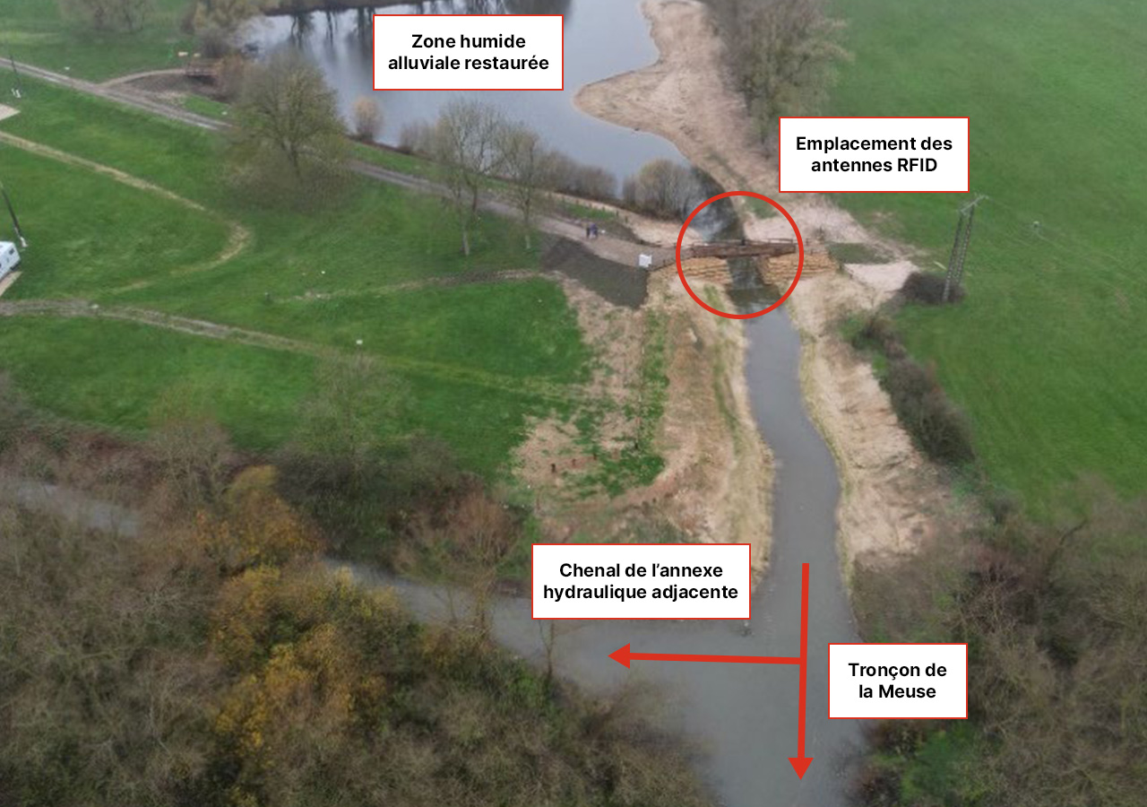 Localisation des antennes RFID_ ZH de Charny-sur-Meuse_FD55