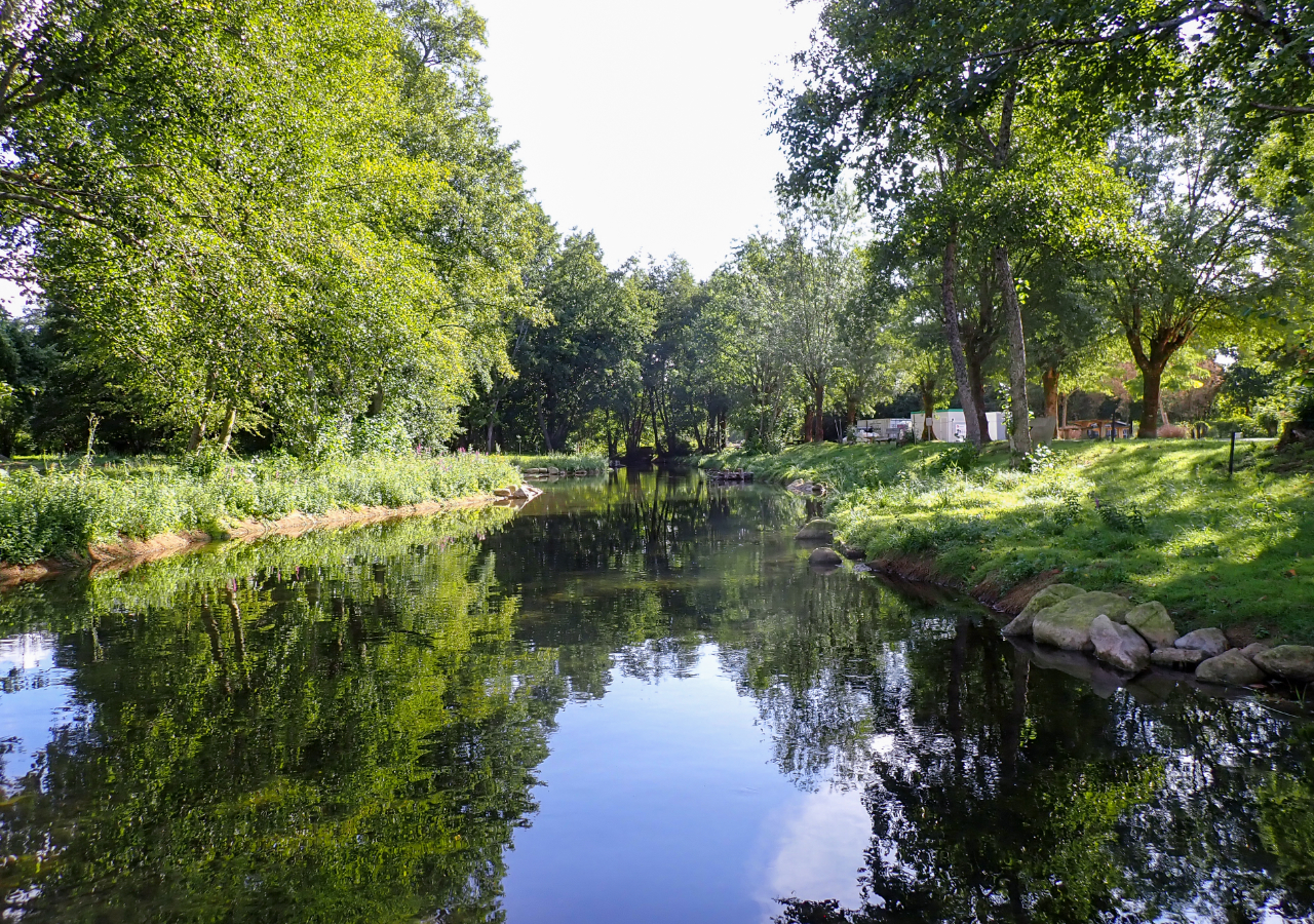 Banquettes-bras-sud-de-la-Saulx-après travaux en 2026_FD55