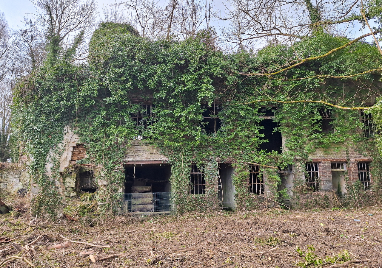 Ruines de l’ancien moulin de Ninflé