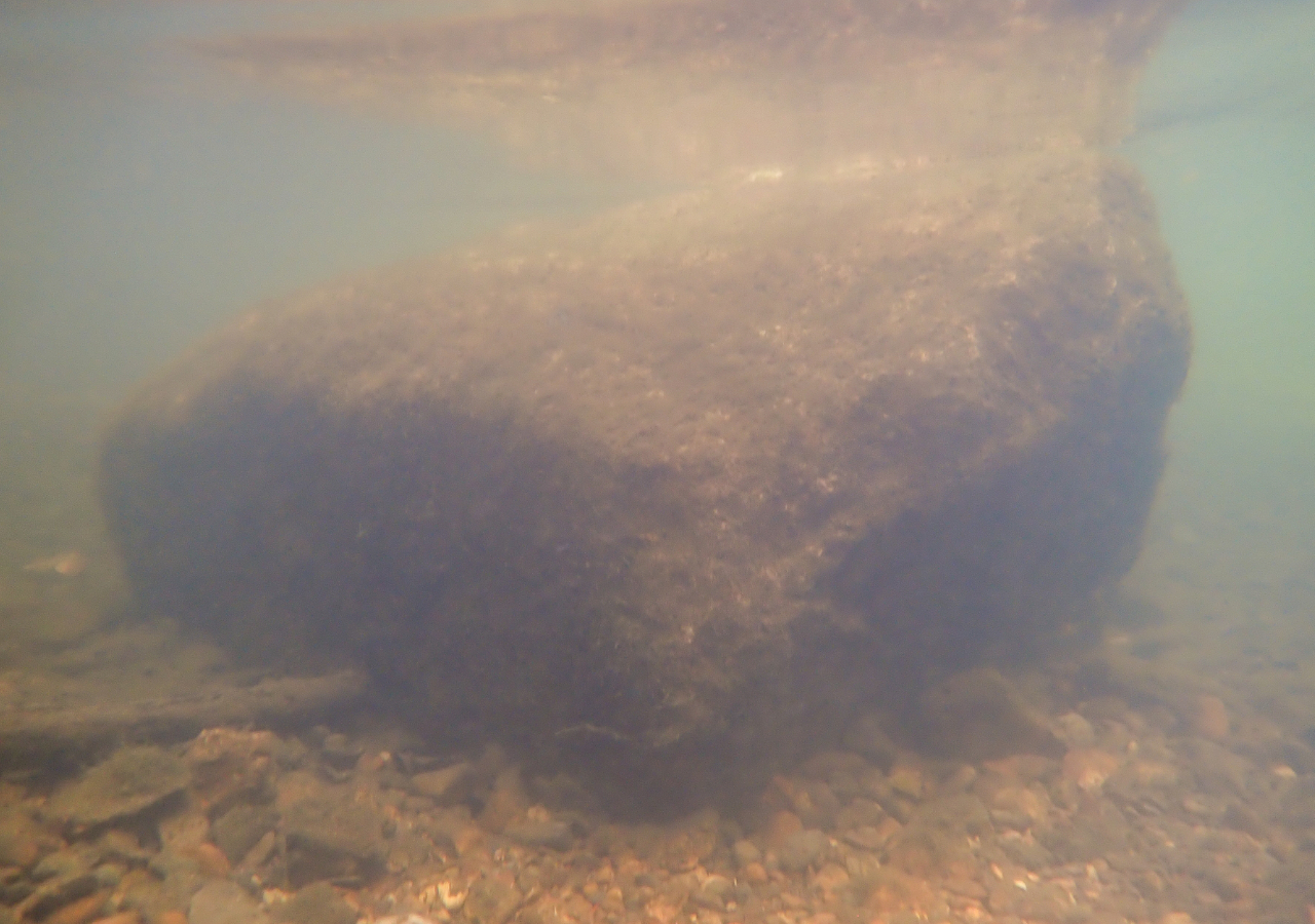 Vue sous l’eau du bloc submergée_ bras de la Saulx_FD55